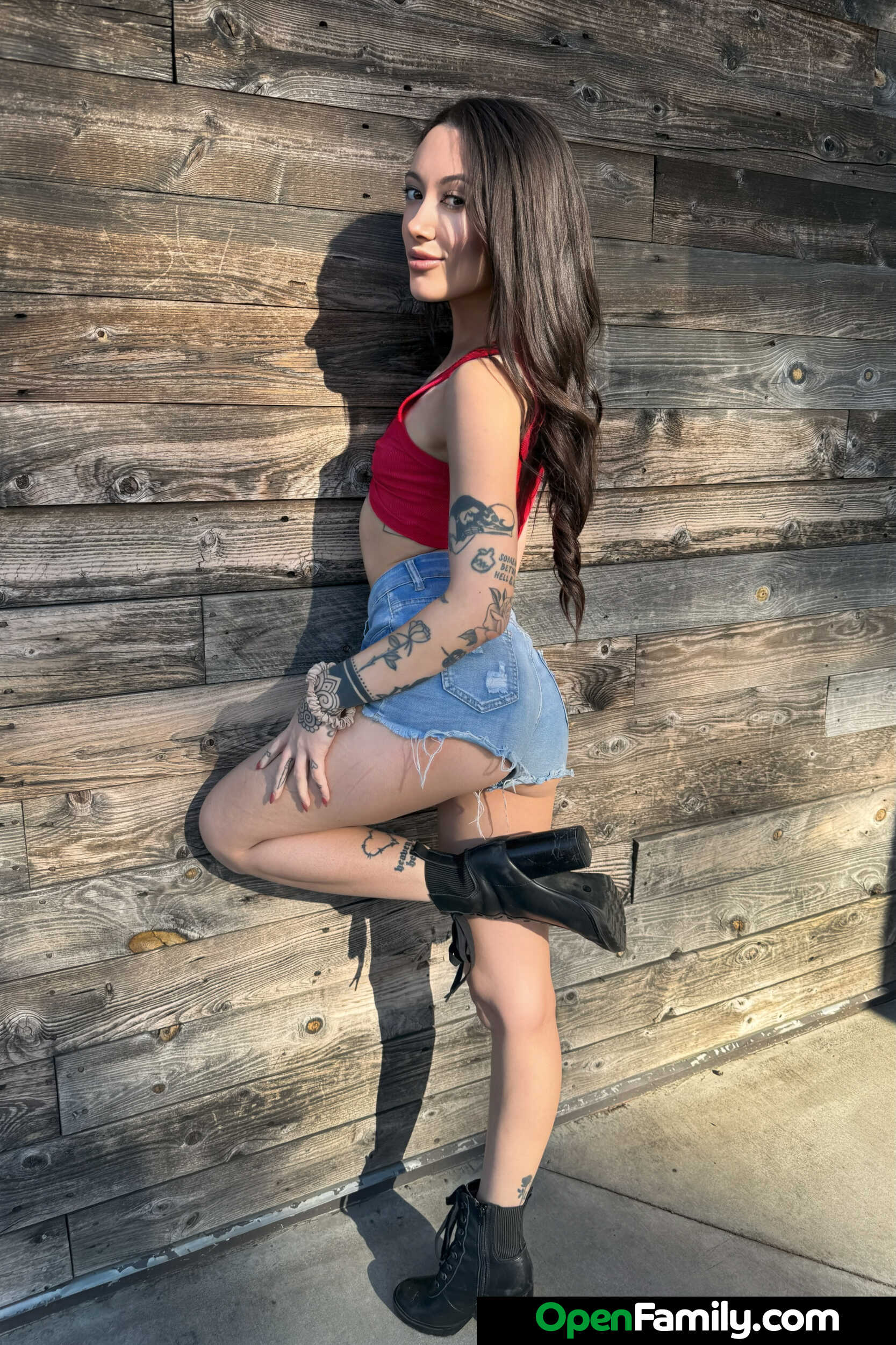 Sage Hunter In 'Naughty America' Sexy Schwägerin Sage Hunter zeigt Schwester Ehemann, was eine offene Familie ausmacht (Ein 1)